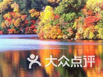 救援网球女孩