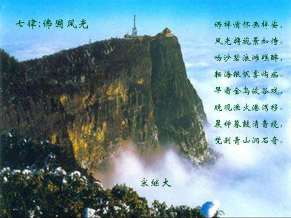 格斗巅峰大作战1.1