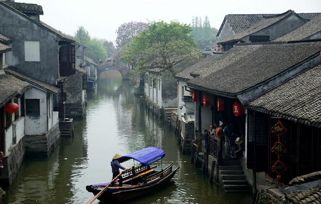 狗狗过敏了，会有什么反应？